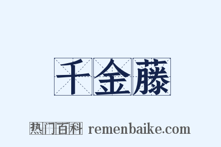 千金藤是什么意思的图片